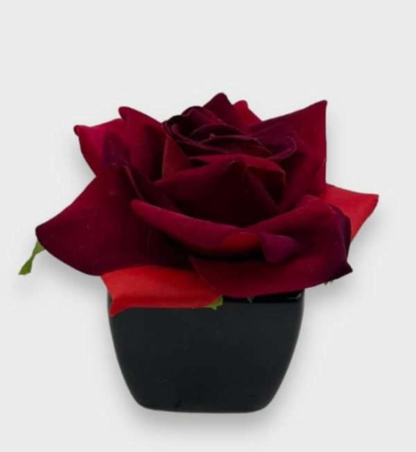 Rosa afelpada c/maceta h8cm