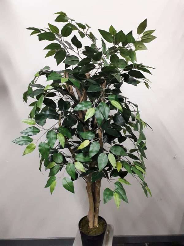 Arbol ficus c/tronco natural h120cm