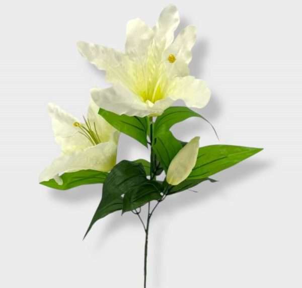 Lilyum vara x2 h75cm
