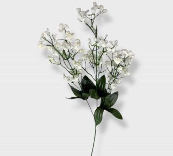 Gypsophila vara x3 h60cm