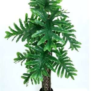 Philo planta h48cm