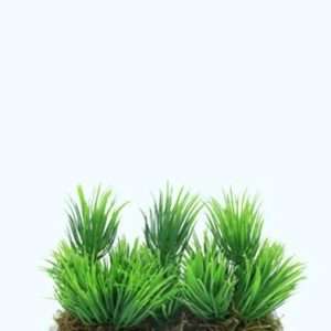 Pasto antique 29x28cm
